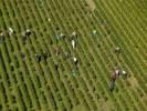 Photos aériennes de Beaune (21200) - Les Vendanges des Côtes de Beaune | Côte-d'Or, Bourgogne, France - Photo réf. T082397