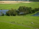 Photos aériennes de "etang" - Photo réf. T069110 - Des vaches dans la campagne près de Reherrey en Meurthe-et-Moselle.