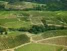 Photos aériennes de "vigne" - Photo réf. T069317 - Le vignoble ardèchois (Ardèche).