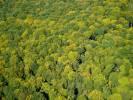 Photos aériennes de "foret" - Photo réf. T069530 - Une Forêt en Automne