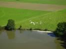 Photos aériennes de "la" - Photo réf. T069817 - Des Vaches en Bords de Meuse