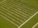 Photos aériennes de "cimetiere" - Photo réf. T078944 - C'est ici que sont enterrs plus de 130 000 hommes tombs au combat pendant la premire guerre mondiale.