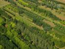Photos aériennes - Culture, horticulture, arbori et sylviculture - Photo réf. T084318 - Une pépinière à Cuvry (Moselle).
