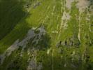 Photos aériennes de "mouton" - Photo réf. T084446