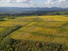 Photos aériennes de "vignes" - Photo réf. T084577 - Une vue paysagère des vignes alsacienne ayant revêtues leurs couleurs d'automne