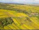 Photos aériennes de Nordheim (67520) - Le Vignoble | Bas-Rhin, Grand Est, France - Photo réf. T089269