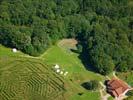 Photos aériennes de "mais" - Photo réf. T099679 - La Ferme Aventure située dans les Vosges propose des parcours ludiques et pédagogiques dans différents labyrinthes de maïs, bois, pierre et céréales.