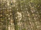 Photos aériennes de Macau (33460) - Une Cigogne au dessus des Marécages | Gironde, Nouvelle-Aquitaine, France - Photo réf. U089175
