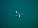 Photos aériennes de "bateau" - Photo réf. U106693