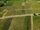 Photos aériennes de "vigne" - Photo réf. U110248