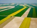 Photos aériennes de "agriculture" - Photo réf. U110275