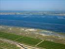 Photos aériennes de Sète (34200) | Hérault, Languedoc-Roussillon, France - Photo réf. U111107 - Le Domaine viticole du Chteau de Villeroy appel aussi Domaine du Listel.