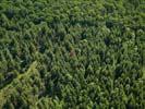 Photos aériennes de "forêt" - Photo réf. U111166