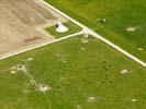 Photos aériennes de "bison" - Photo réf. U115475 - Les Bisons du Sachuron.