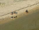 Photos aériennes de "chevaux" - Photo réf. U115744