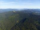 Photos aériennes de "forêt" - Photo réf. E122088
