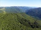 Photos aériennes de "forêt" - Photo réf. E122284