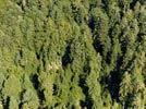 Photos aériennes de "forêt" - Photo réf. E122334