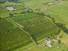 Photos aériennes de "arboriculture" - Photo réf. E124495