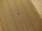Photos aériennes de "cereales" - Photo réf. E124513 - Une moissonneuse batteuse au travail.