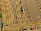 Photos aériennes de "cerealiere" - Photo réf. E124517 - La moissonneuse en action.