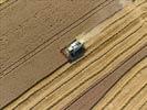 Photos aériennes de "céréalière" - Photo réf. E124519 - Une moissonneuse batteuse au travail.