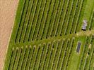 Photos aériennes de Croix-Moligneaux (80400) - Autre vue | Somme, Hauts-de-France, France - Photo réf. E124651