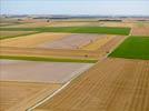 Photos aériennes de "champs" - Photo réf. E124684 - Les champs cultivés à perte de vue.