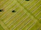 Photos aériennes de "guerre" - Photo réf. E124708 - Le cimetière militaire Français d'Avocourt.