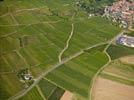 Photos aériennes de "vignoble" - Photo réf. E124879