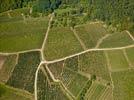 Photos aériennes de "vigne" - Photo réf. E124884