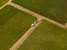 Photos aériennes de "vigne" - Photo réf. E124960