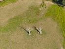Photos aériennes de "arbre" - Photo réf. E133068 - Deux arbres morts.