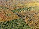 Photos aériennes de "forêt" - Photo réf. U135923