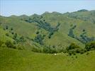 Photos aériennes - Paysages de montagne - Photo réf. E126446 - Des vaches en estive