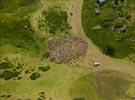 Photos aériennes de Auris (38142) - Autre vue | Isère, Rhône-Alpes, France - Photo réf. E126762 - Un troupeau de moutons