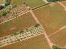 Photos aériennes de "champs" - Photo réf. E126797 - Vignoble et champs d'oliviers