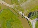Photos aériennes de "troupeau" - Photo réf. E131742 - Un troupeau de vaches