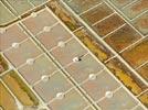 Photos aériennes de "marais" - Photo réf. E131755 - Un paludier dans les marais salants de Guérande