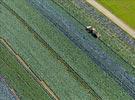 Photos aériennes de "champs" - Photo réf. E133875 - Nuances de vert et de bleu dans un champs