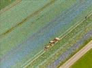 Photos aériennes de "champs" - Photo réf. E133877 - Nuances de vert et de bleu dans un champs
