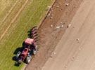 Photos aériennes de "champs" - Photo réf. E134120 - Tracteur labourant son champs suivi par des mouettes