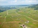 Photos aériennes de "vignes" - Photo réf. E134373 - Le vignoble de Chassagne-Montrachet