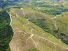 Photos aériennes de "vigne" - Photo réf. E134417 - Coteaux de l'Hermitage, vigoble réputé des AOC Hermitage, Crozes-Hermitage et Saint-Joseph