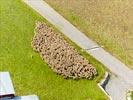 Photos aériennes de "mouton" - Photo réf. E142458 - Un troupeau de moutons