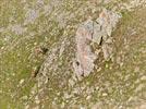 Photos aériennes de "montagne" - Photo réf. E142867 - Des chamois à flanc de montagne