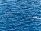 Photos aériennes de Bandrele (97620) - Autre vue | Mayotte, Mayotte, France - Photo réf. E143617 - Plonge avec les dauphins
