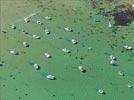 Photos aériennes de "eaux" - Photo réf. E144617 - Le littoral breton et ses eaux turquoises