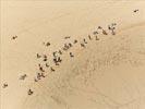 Photos aériennes de La Teste-de-Buch (33260) - La Dune du Pyla | Gironde, Aquitaine, France - Photo réf. E146083