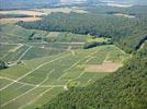 Photos aériennes de "parc" - Photo réf. E146431 - Vignoble de Champagne dans le Parc Naturel Régional de la Montagne de Reims